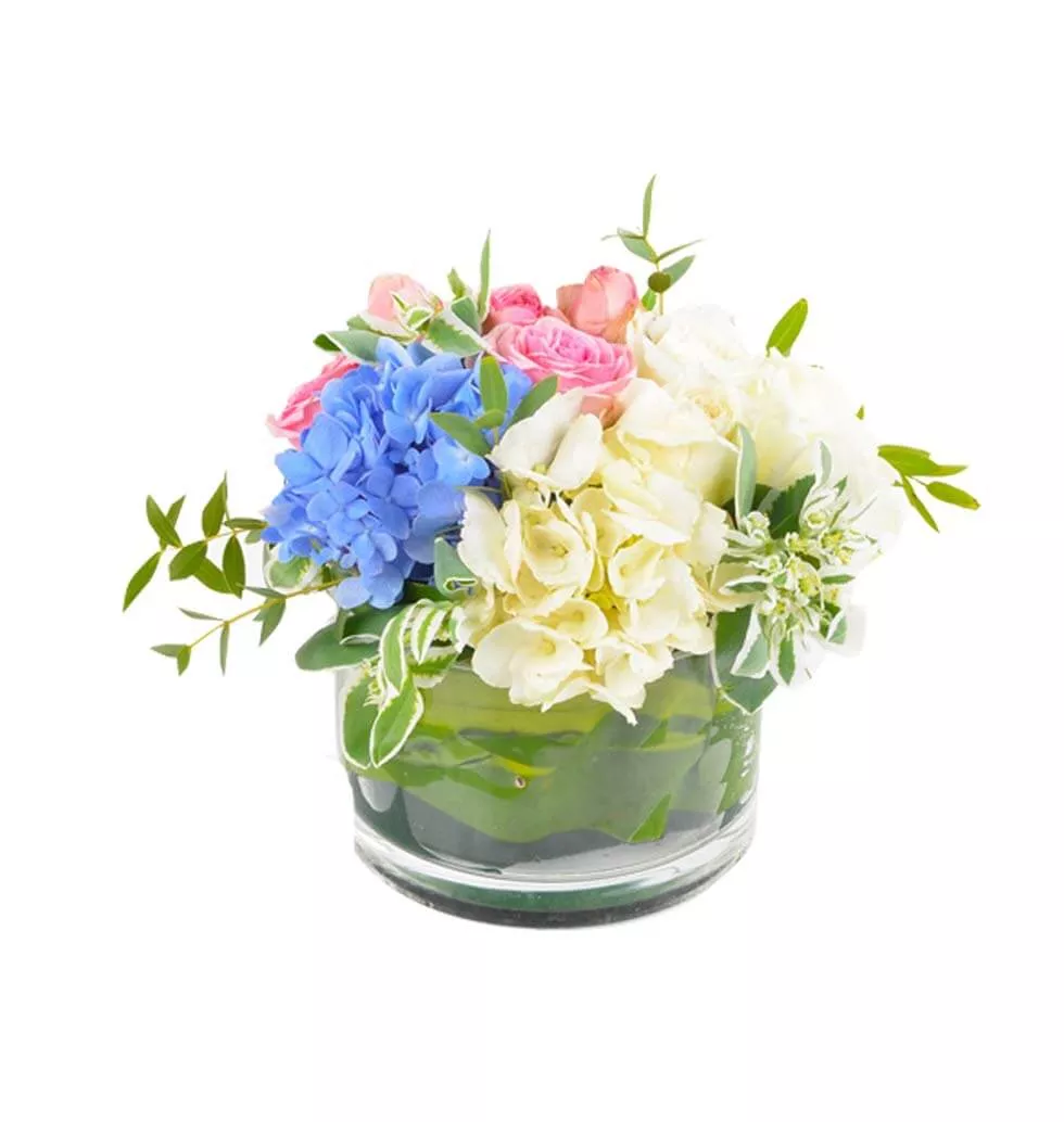 Arrangement Of Colours