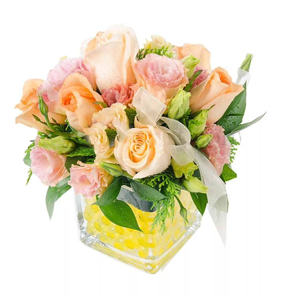 Classic Aura of Roses