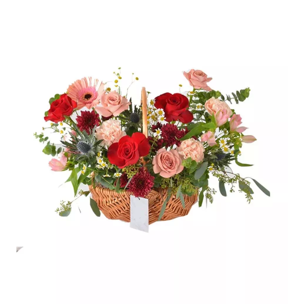 Variety of Exotic Flowers